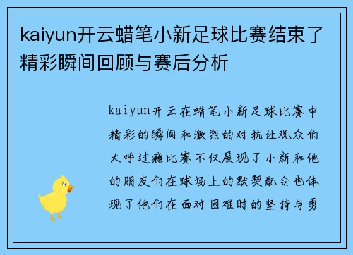 kaiyun开云蜡笔小新足球比赛结束了精彩瞬间回顾与赛后分析